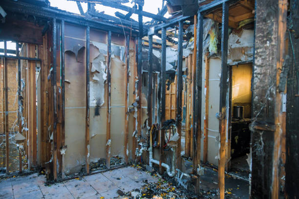 Professional Fire Damage Removal technician working in Olean, NY